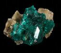 Chip Sized, Emerald-Green Dioptase Cluster - Kazakhstan #34980-1